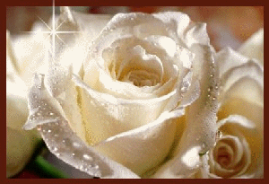 beatiful